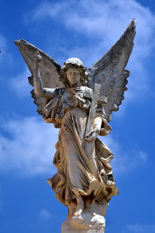 angel  sky  wing