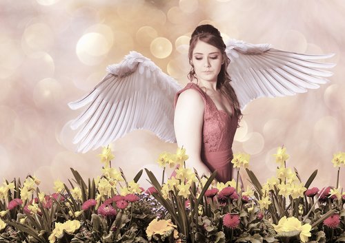 angel  wings  girl