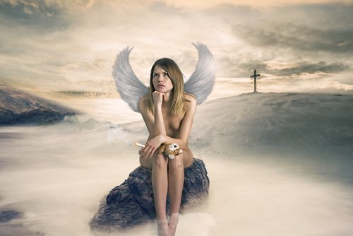 angel  fantasy  wings