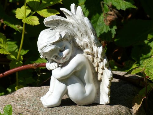 angel wings garden
