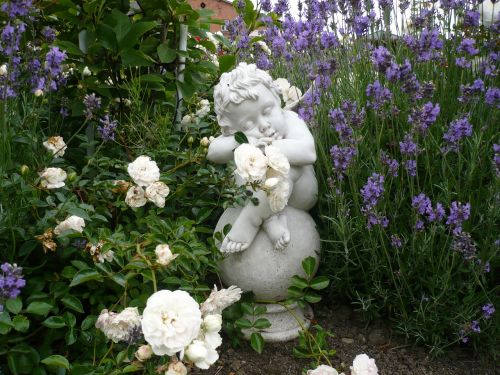 angel garden flowers