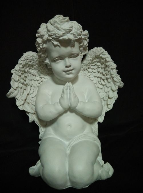 angel baby wings