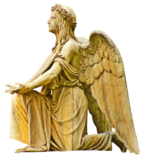 angel cherubs angel wings