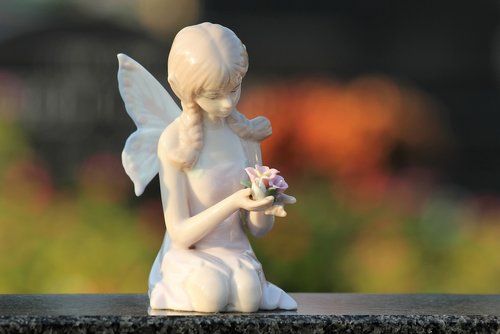 angel with roses  girl  wings