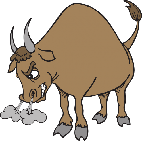 angry bull horns