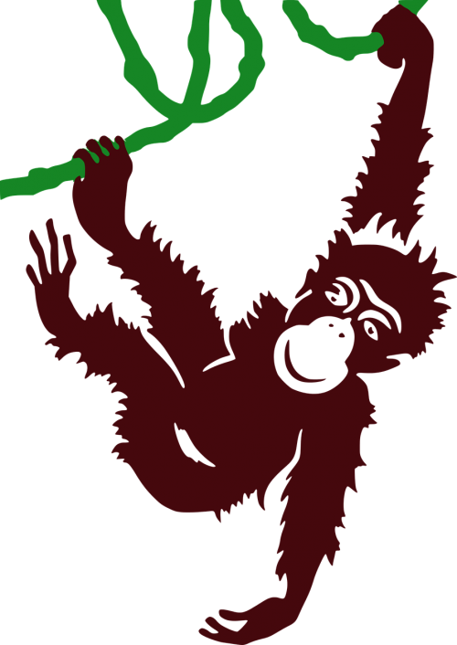 animal ape cartoon