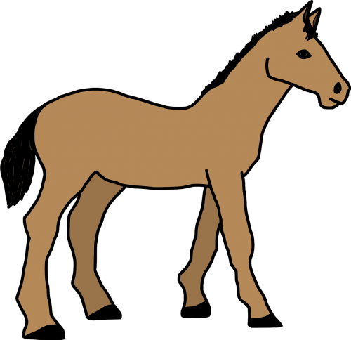 animal cartoon horse