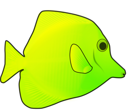 animal ocean yellow fish