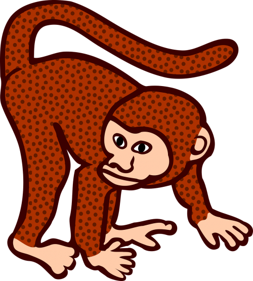 animal monkey ed 225427