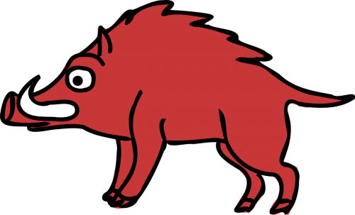 animal boar cartoon