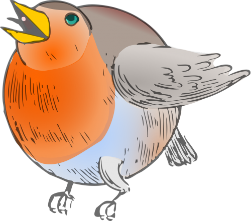 animal bird robin cartoon
