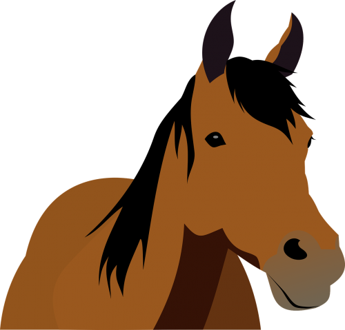 animal cattle horse