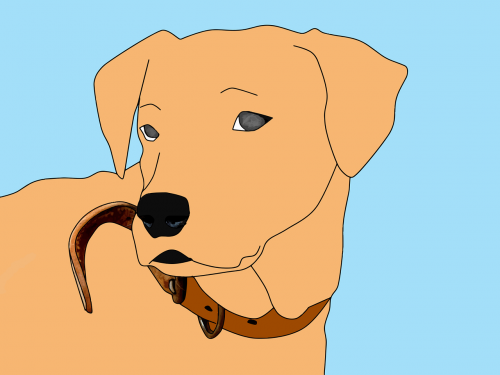 animal cartoon dog