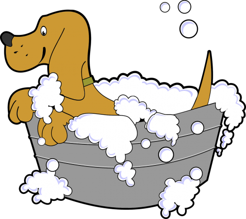 animal bath canine