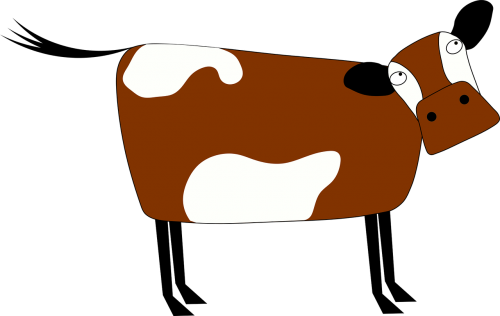 animal cartoon cow