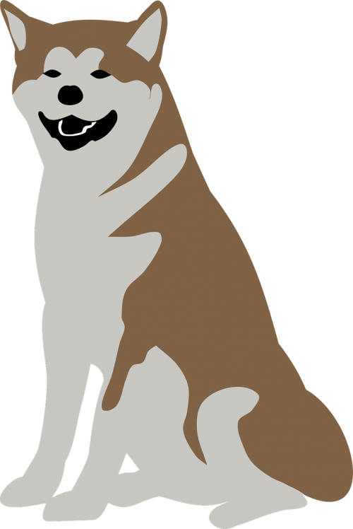 animal dog malamute