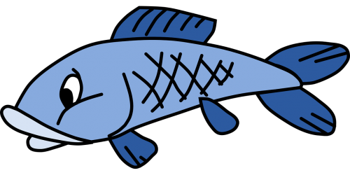 animal cartoon fish