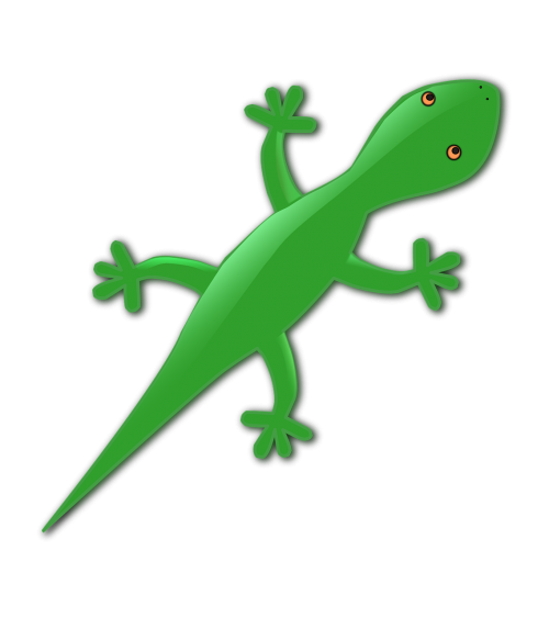 animal gecko lizard