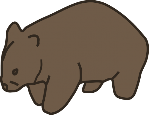 animal wombat mammal