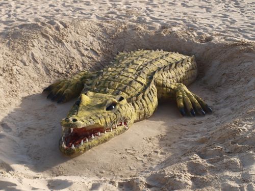 sand sculpture beach crocodile sand