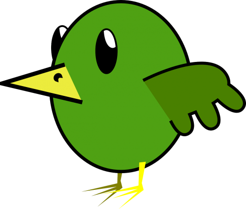 animal bird green