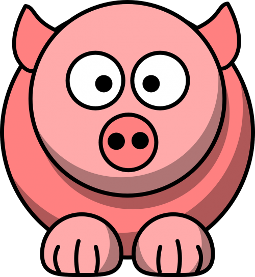 animal pig pink