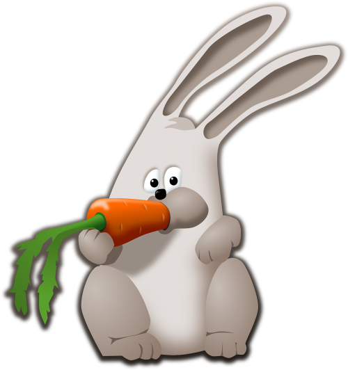 animal bunny carrot