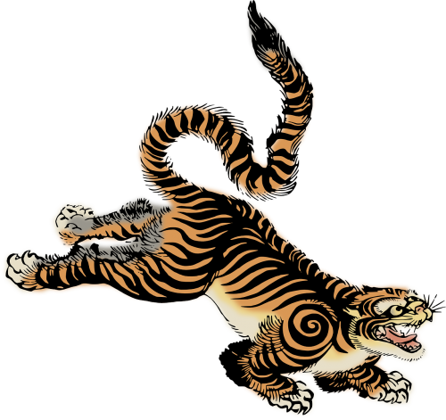 animal tiger wildlife
