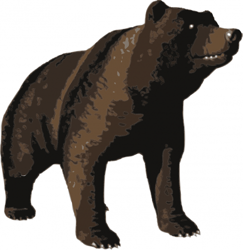 animal bear brown