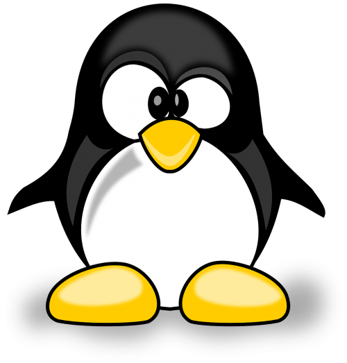 animal cute penguin
