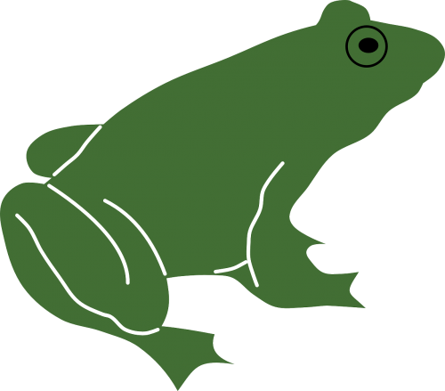 animal frog green