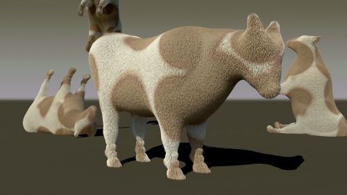 animal cow cows