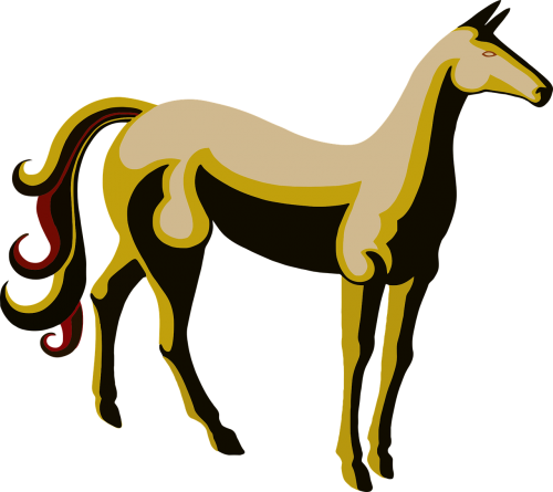 animal equine horse