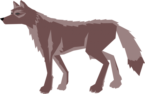 animal brown wolf