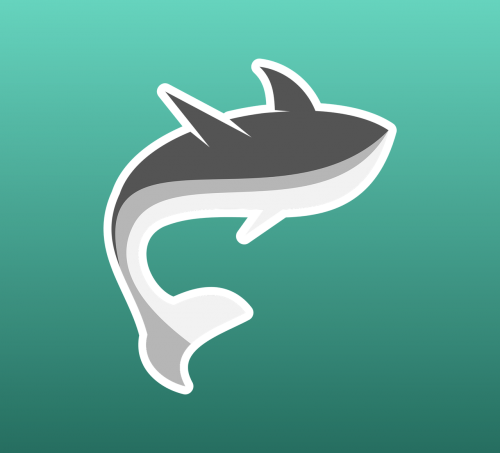 animal fish shark