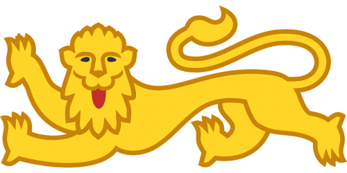 animal lion mammal