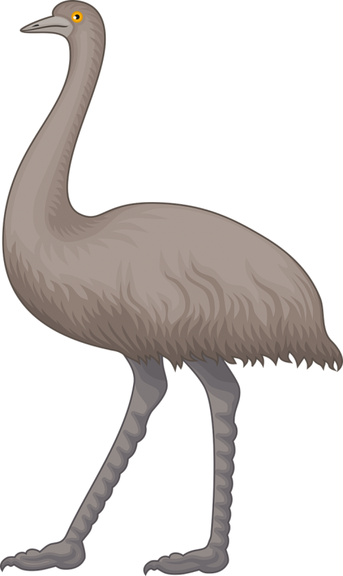 animal australia australian