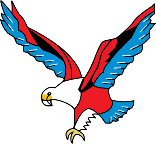 animal bird eagle