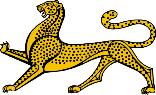 animal cat leopard