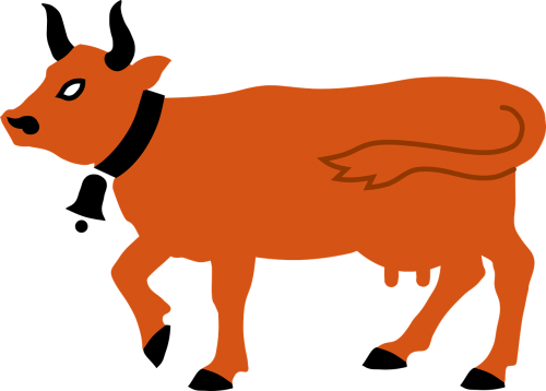 animal cow farmyard
