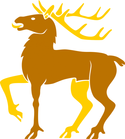 animal deer mammal