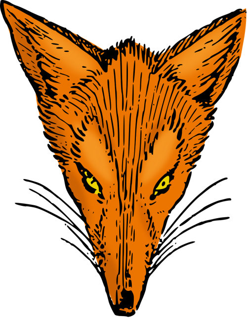 animal fox head
