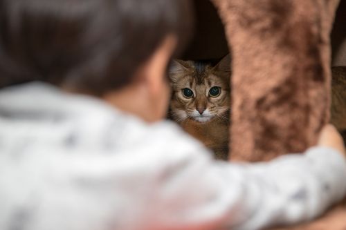 animal baby bed