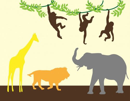 animal animals jungle
