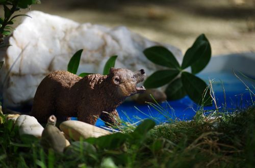 animal toy still life