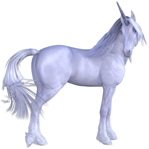 animal  horse  equine