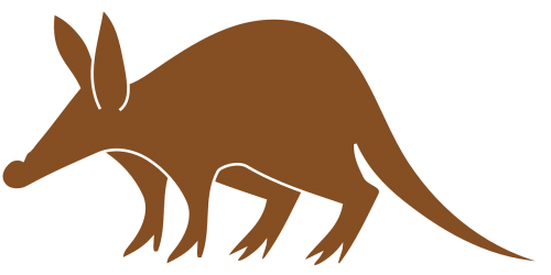animal aardvark tail