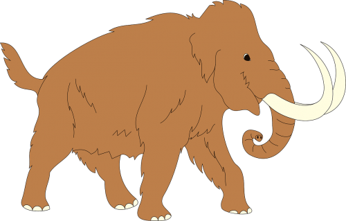 animal ancient mammoth