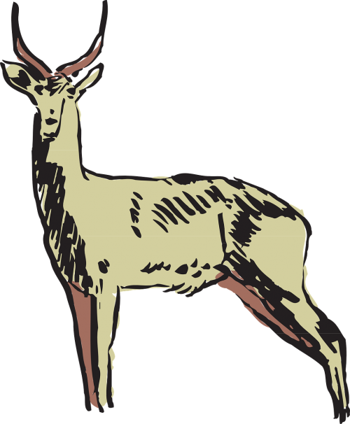 animal antelope horns