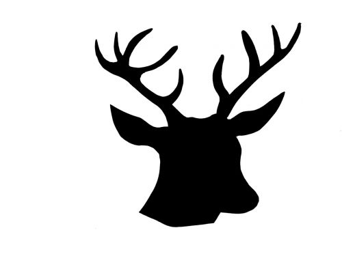animal hirsch deer head